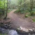 Traditional Rural Cottage, Haven For Families With Pets