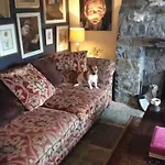 Traditional Rural Cottage, Haven For Families With Pets Whitegate (Galway)