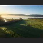 Traditional Rural Cottage, Haven For Families With Pets * Whitegate (Galway)
