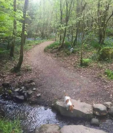 Traditional Rural Cottage, Haven For Families With Pets