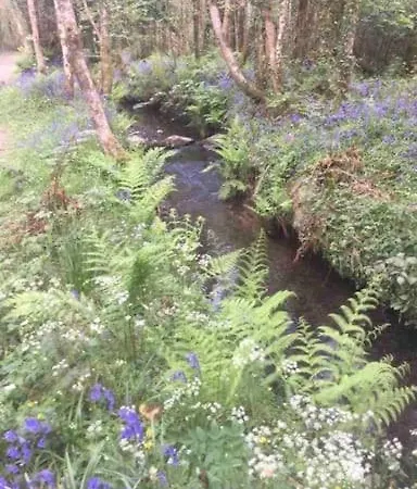 Appartement Traditional Rural Cottage, Haven For Families With Pets