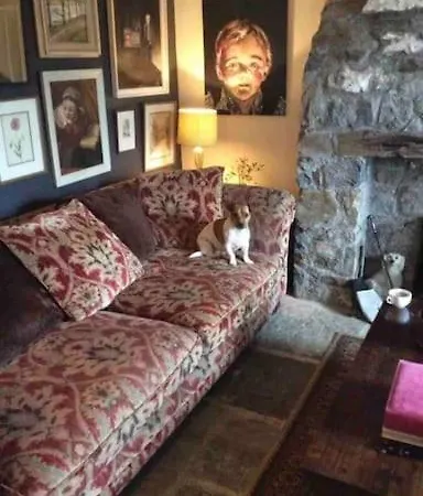 Traditional Rural Cottage, Haven For Families With Pets Whitegate (Galway)