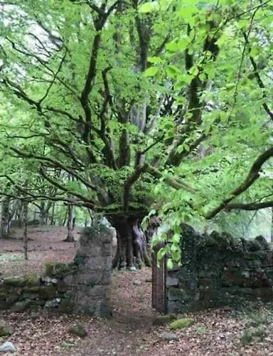 Traditional Rural Cottage, Haven For Families With Pets
