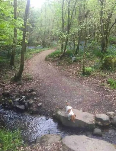 Traditional Rural Cottage, Haven For Families With Pets