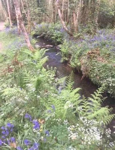 公寓 Traditional Rural Cottage, Haven For Families With Pets